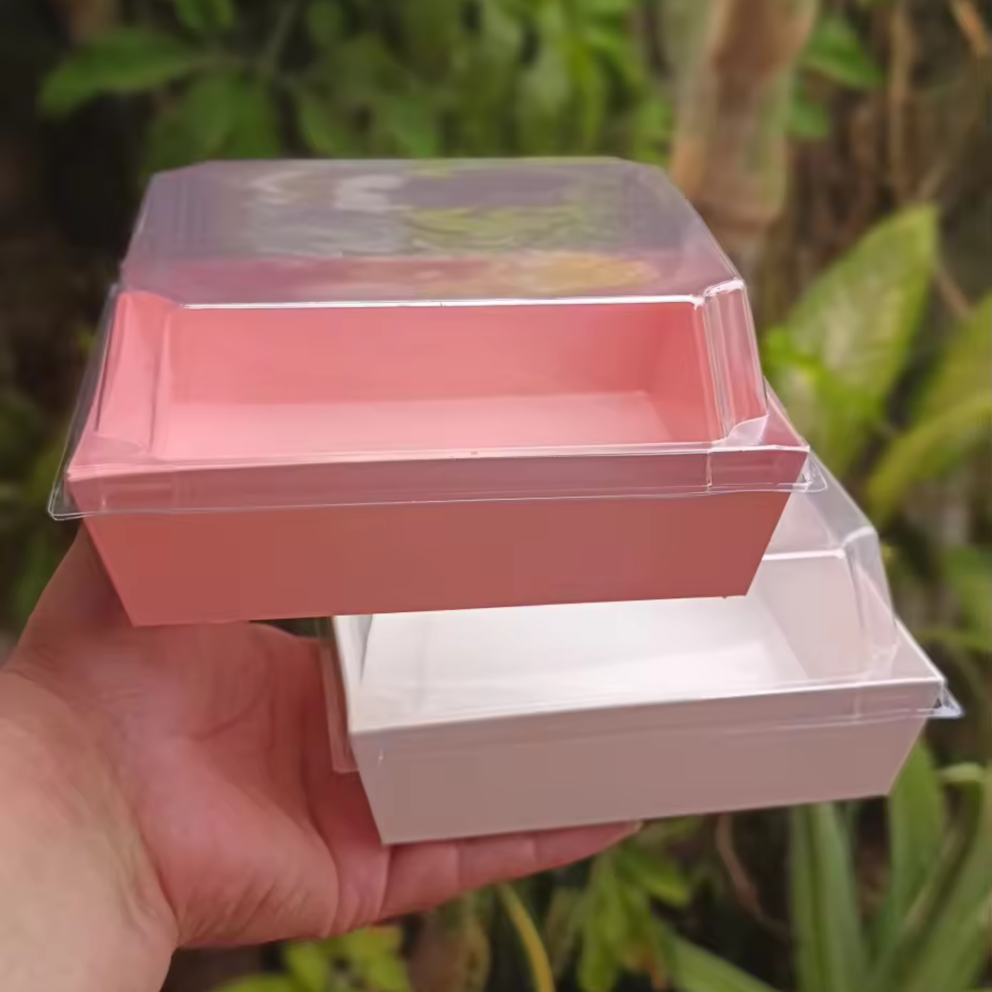 Fingerlic's Clear Lid Box